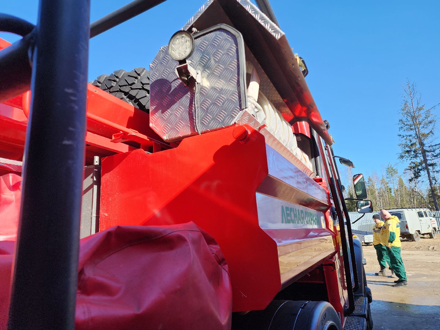 Егорьевск, Подмосковье, Лес, Московская область,