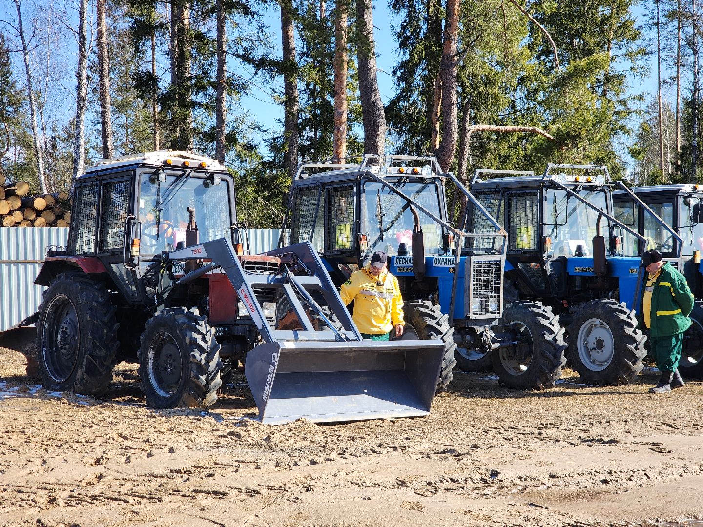 Егорьевск, Подмосковье, Лес, Московская область,