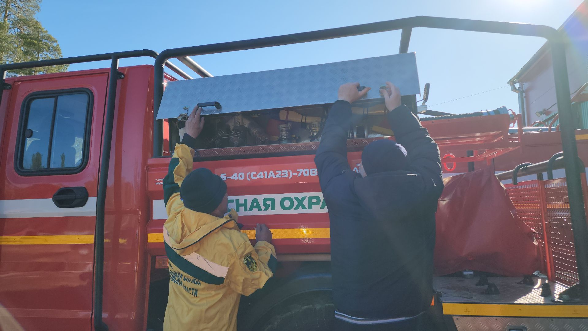 Егорьевск, Подмосковье, Лес, Московская область,