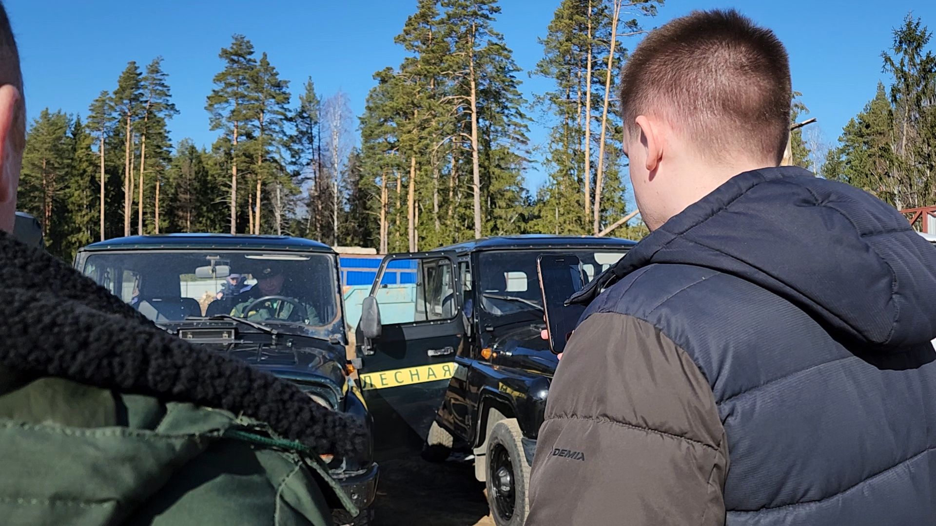 Егорьевск, Подмосковье, Лес, Московская область,