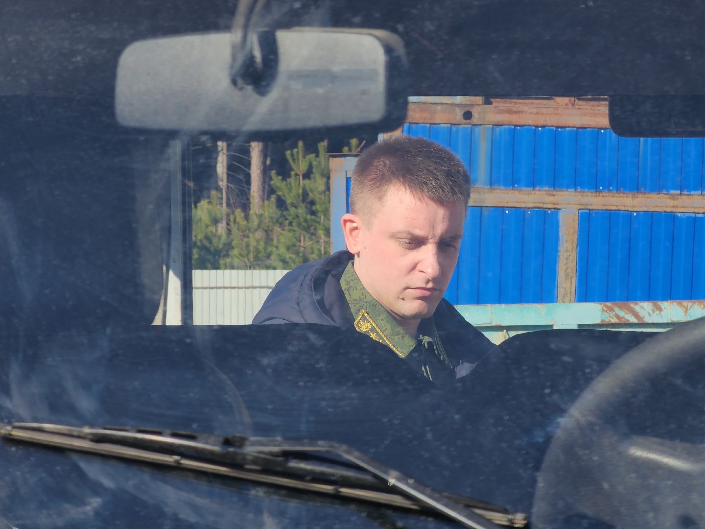 Егорьевск, Подмосковье, Лес, Московская область,