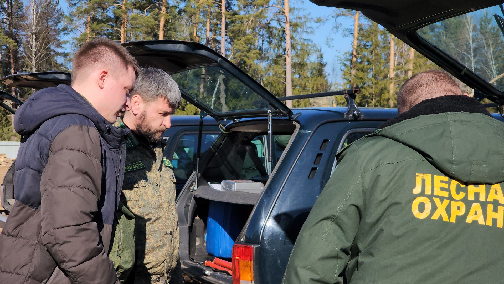 Егорьевск, Подмосковье, Лес, Московская область,