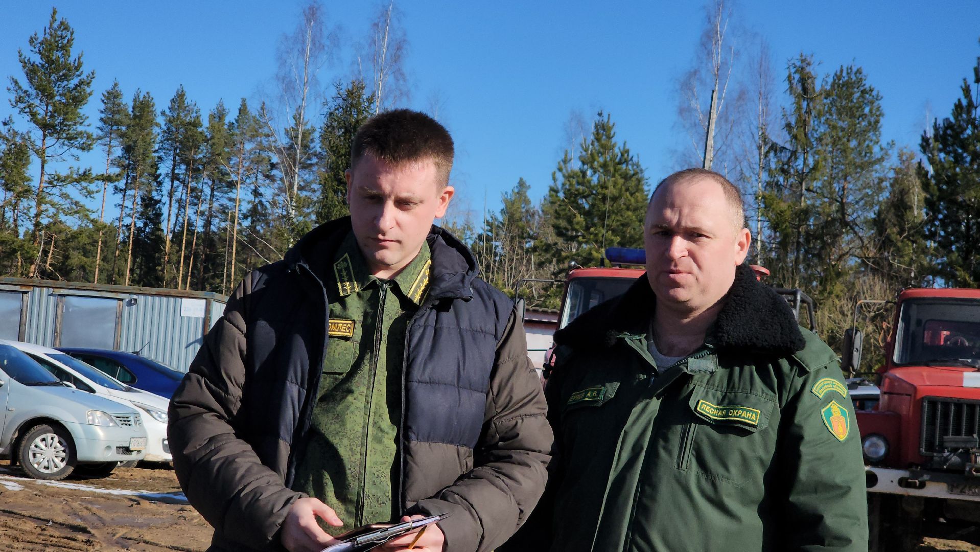 Егорьевск, Подмосковье, Лес, Московская область,