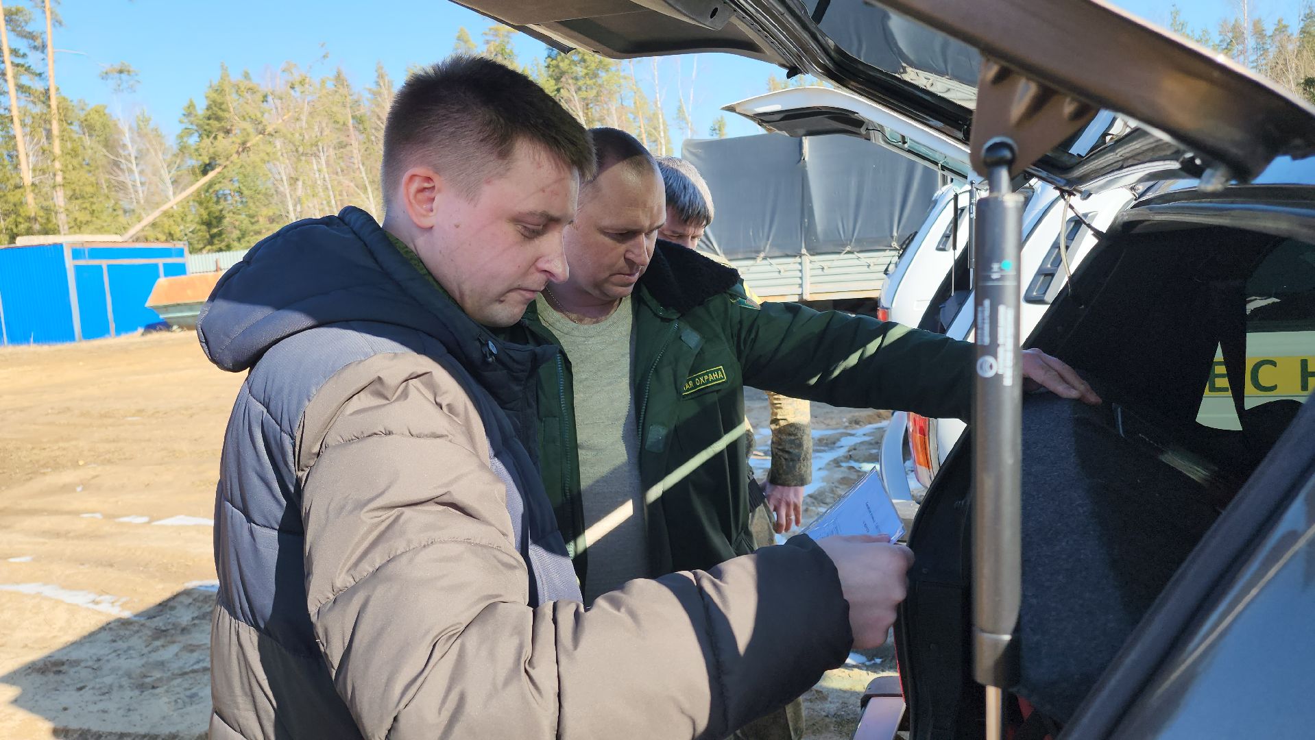 Егорьевск, Подмосковье, Лес, Московская область,