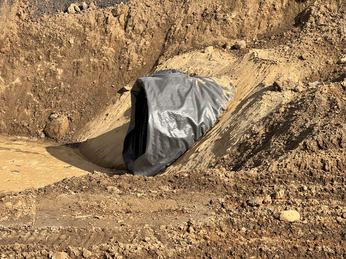 шаховская, дорога, федеральная дорога, расширение дороги,