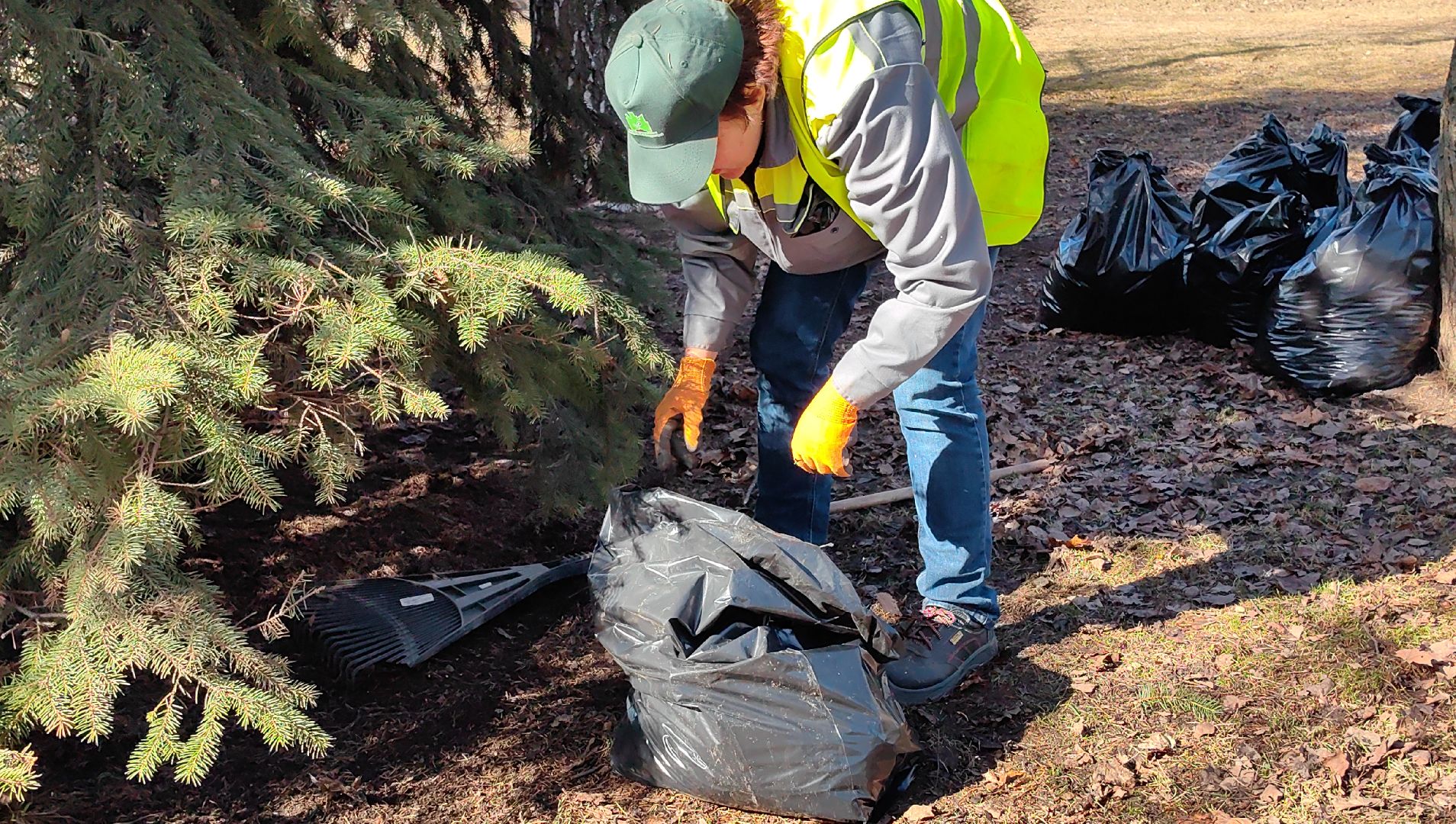 жкх и благоустройство, улица, дорога, уборка, листва, отходы,
