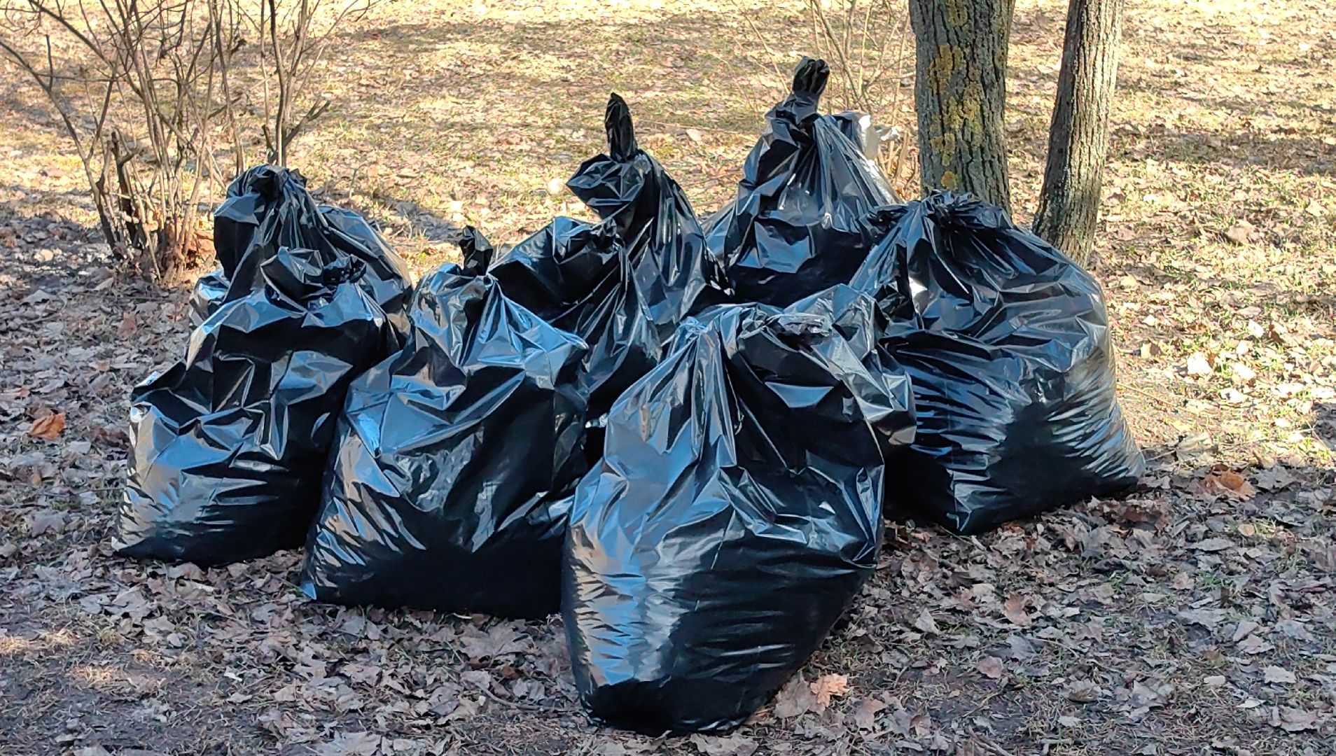 жкх и благоустройство, улица, дорога, уборка, листва, отходы,