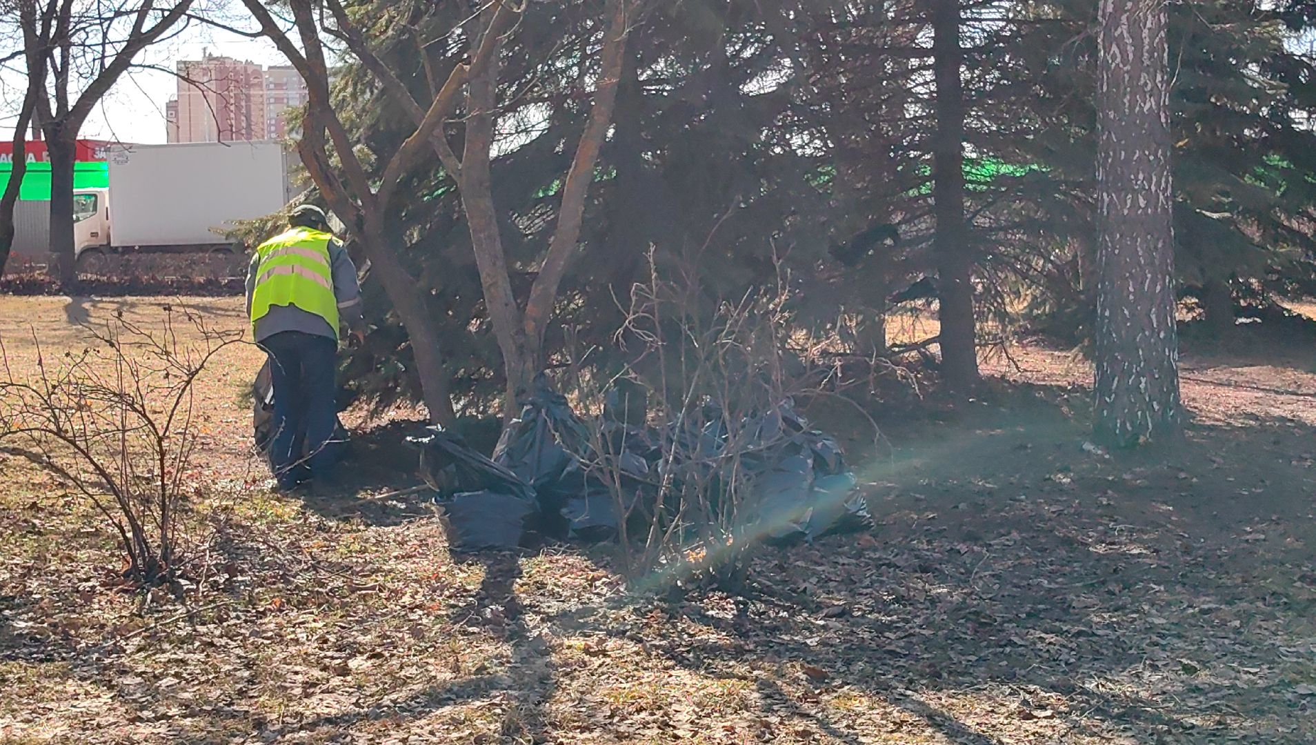 жкх и благоустройство, улица, дорога, уборка, листва, отходы,