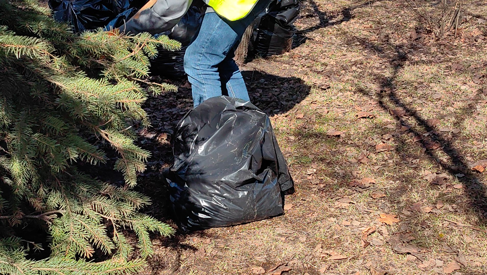 жкх и благоустройство, улица, дорога, уборка, листва, отходы,