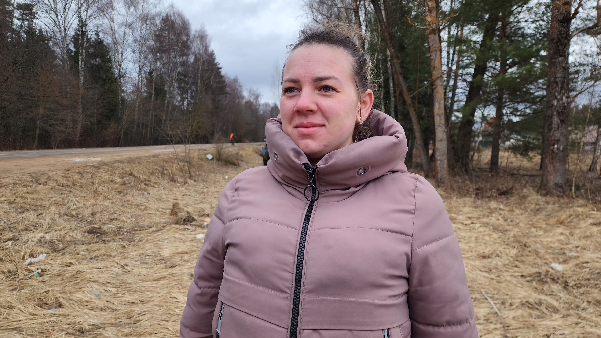 благоустройство, аварийные деревья, истра,