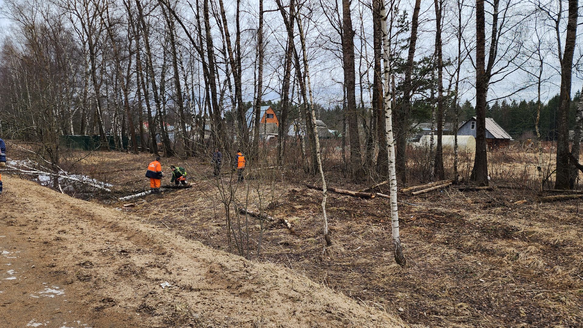 благоустройство, аварийные деревья, истра,