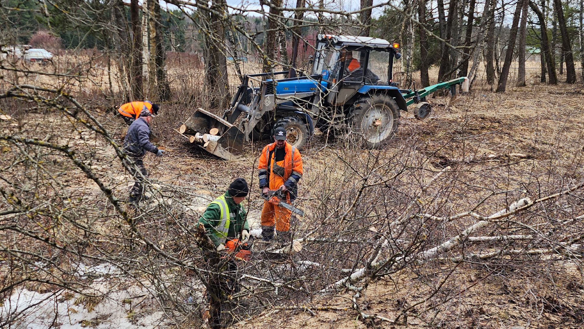 благоустройство, аварийные деревья, истра,