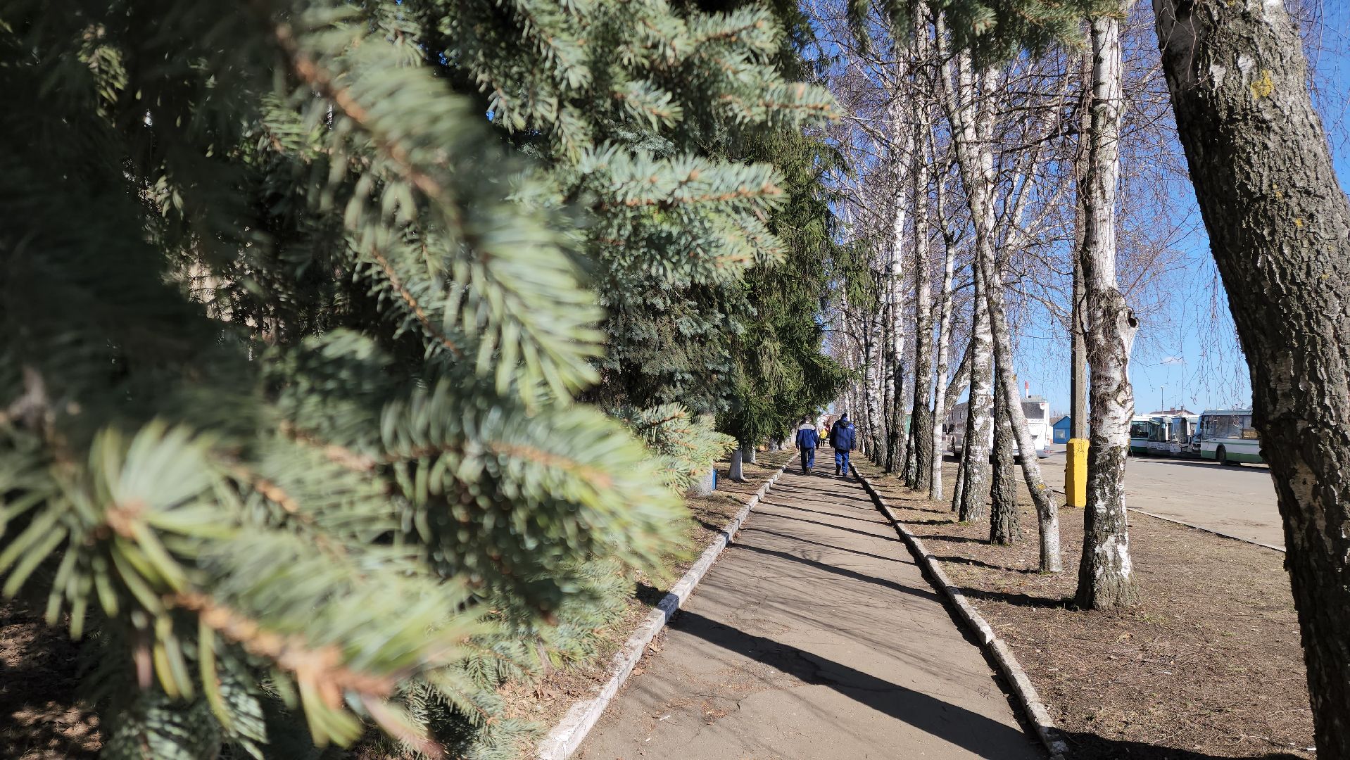 Подольск, МАП 5, столовая, обеды, водители,