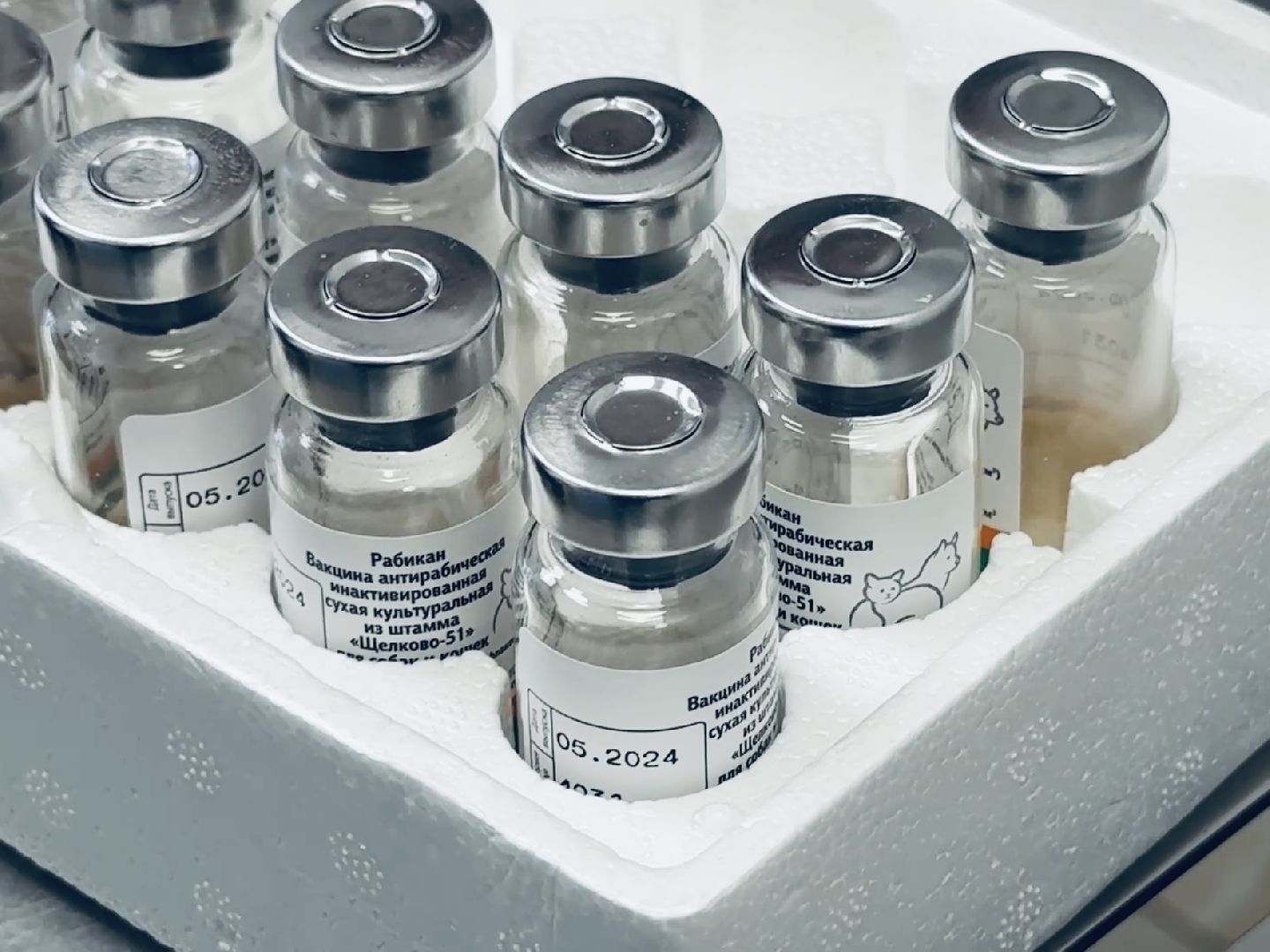 раменское, бешенство, ветеринар, карантин,