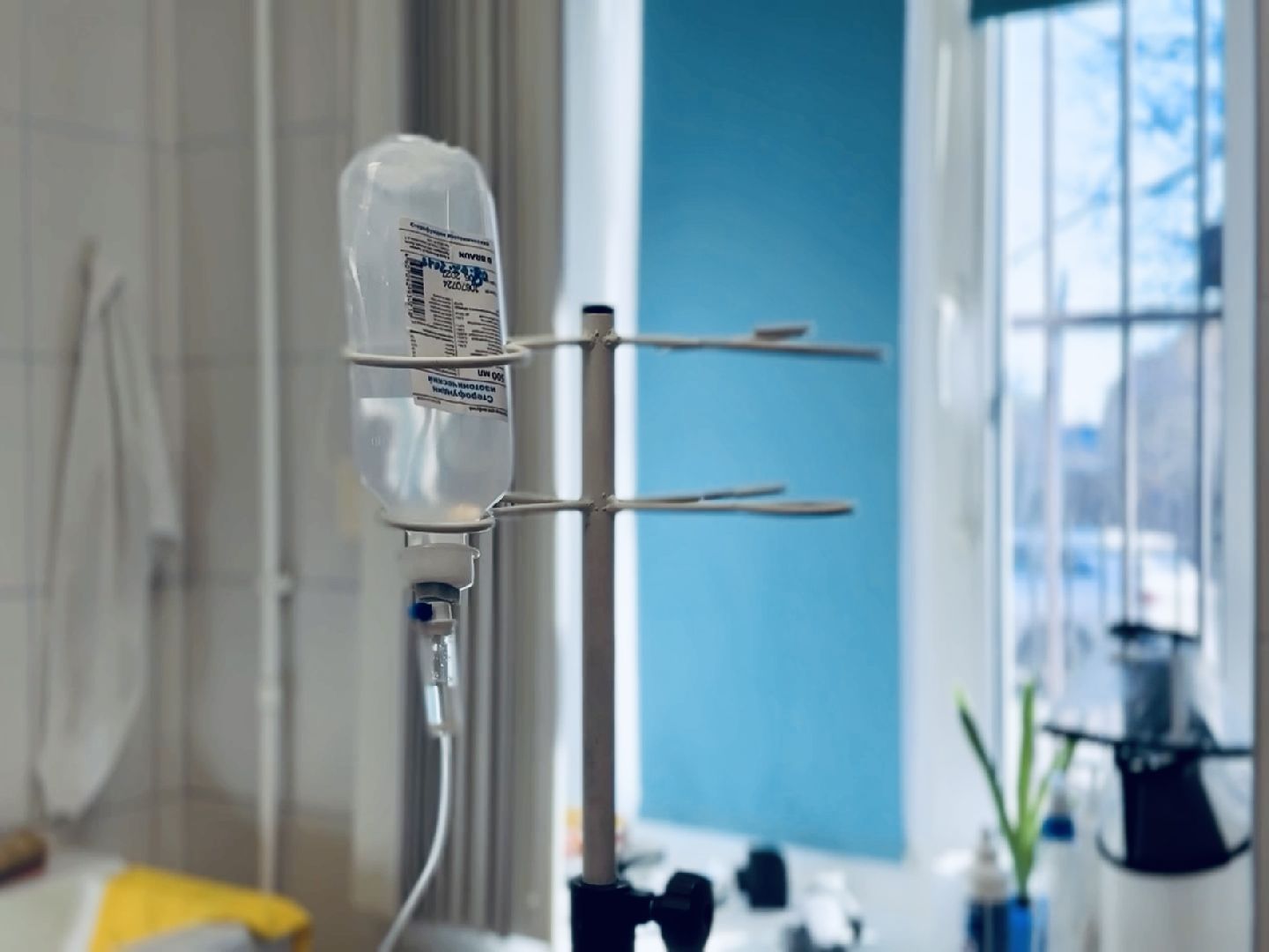 раменское, бешенство, ветеринар, карантин,