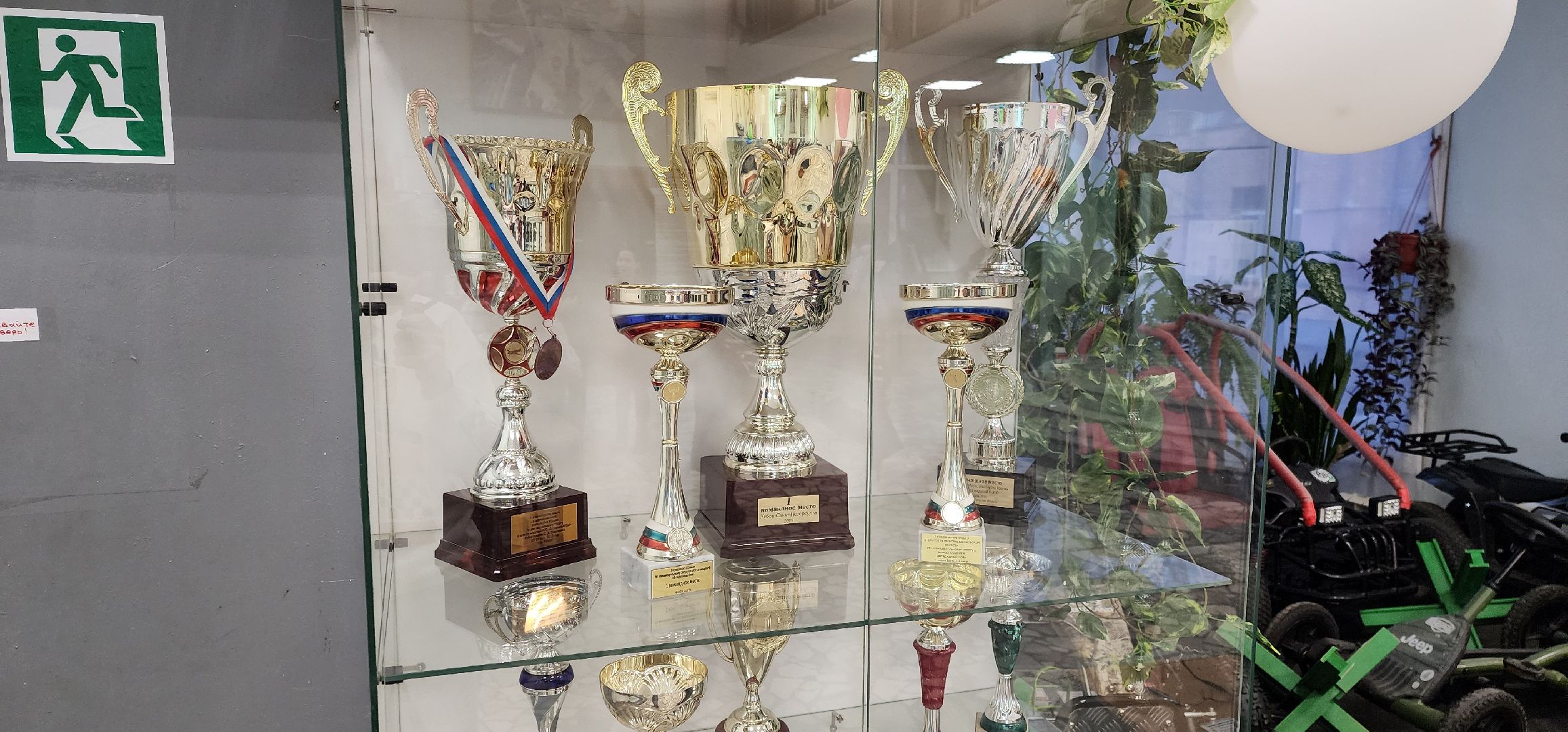 Химки, спорт, образование, авиация, авиамодельный спорт,