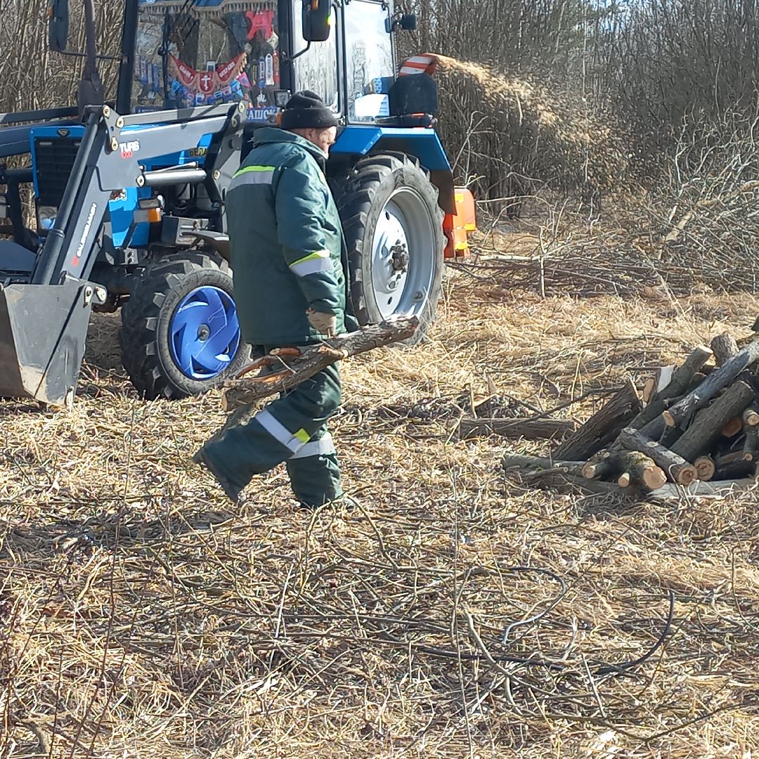 сергиев посад, Чарково, Дороги, вырубка деревьев,