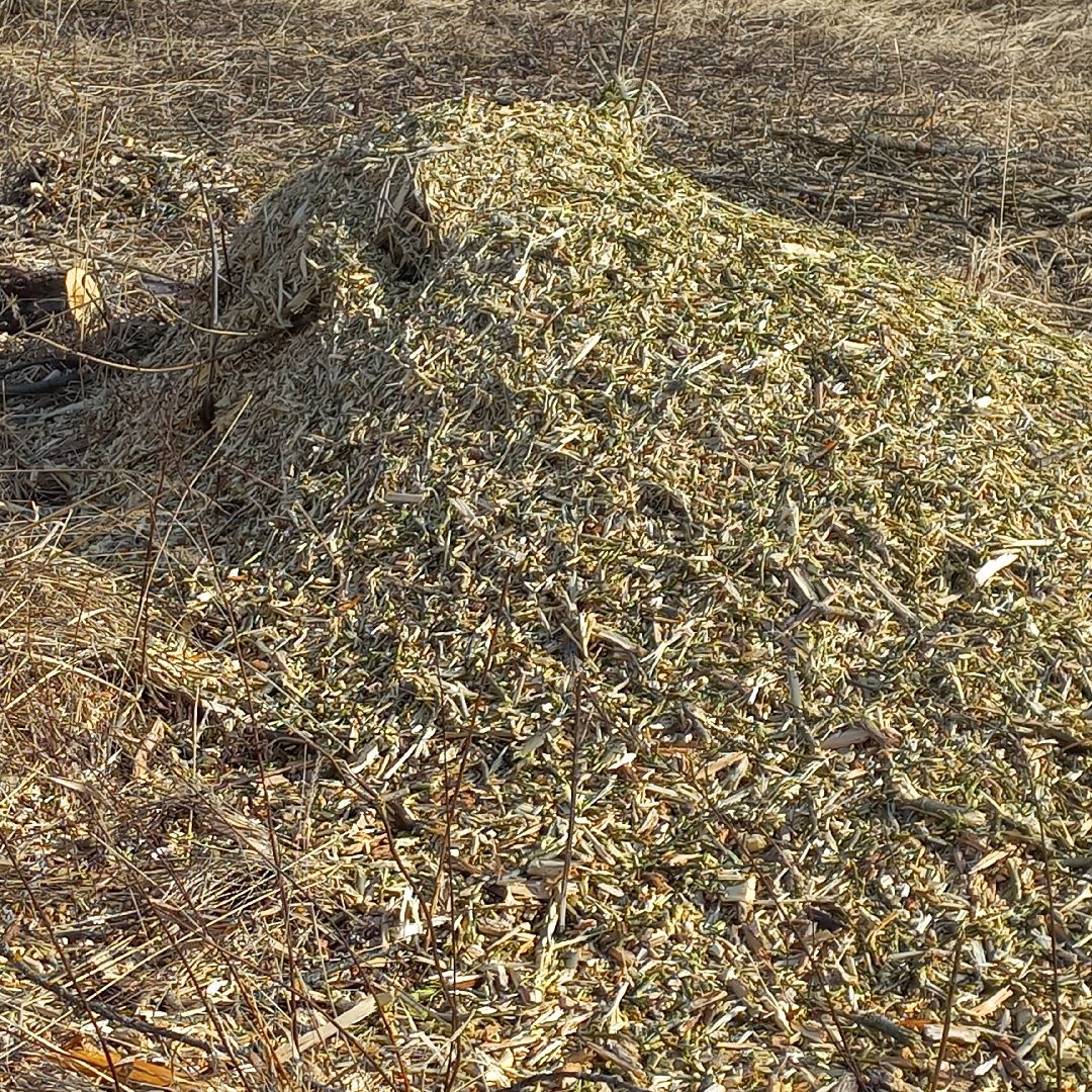 сергиев посад, Чарково, Дороги, вырубка деревьев,