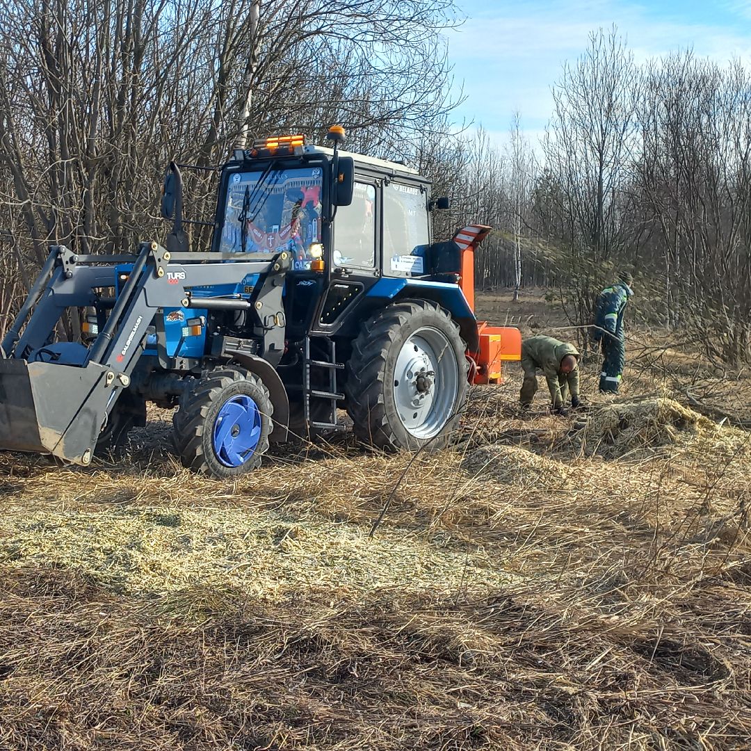 сергиев посад, Чарково, Дороги, вырубка деревьев,