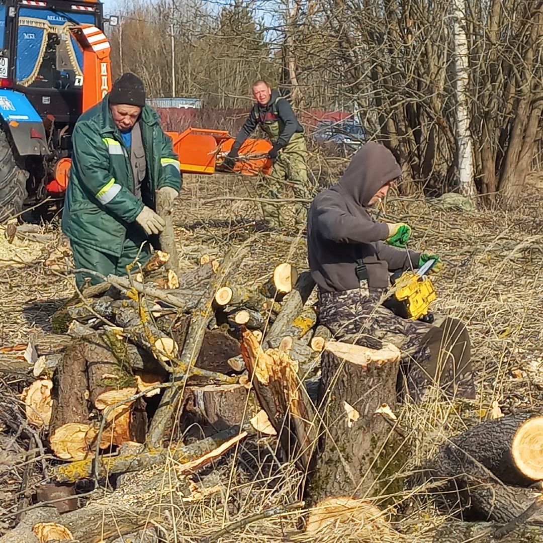 сергиев посад, Чарково, Дороги, вырубка деревьев,