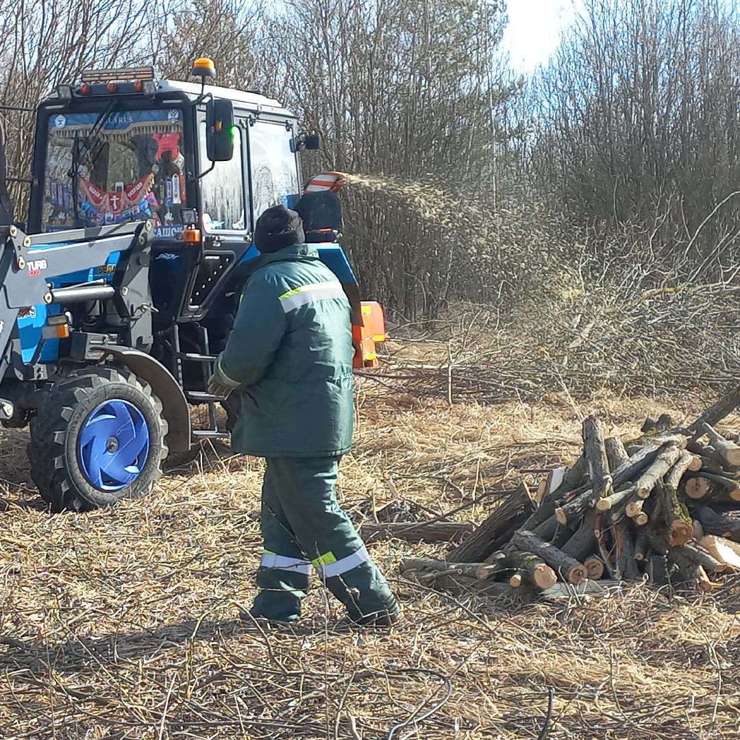 сергиев посад, Чарково, Дороги, вырубка деревьев,