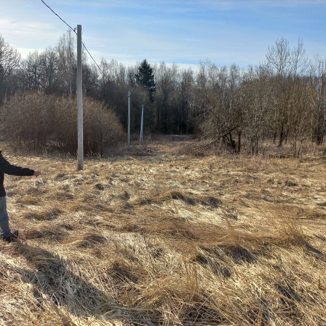 сергиев посад, Чарково, Дороги, вырубка деревьев,