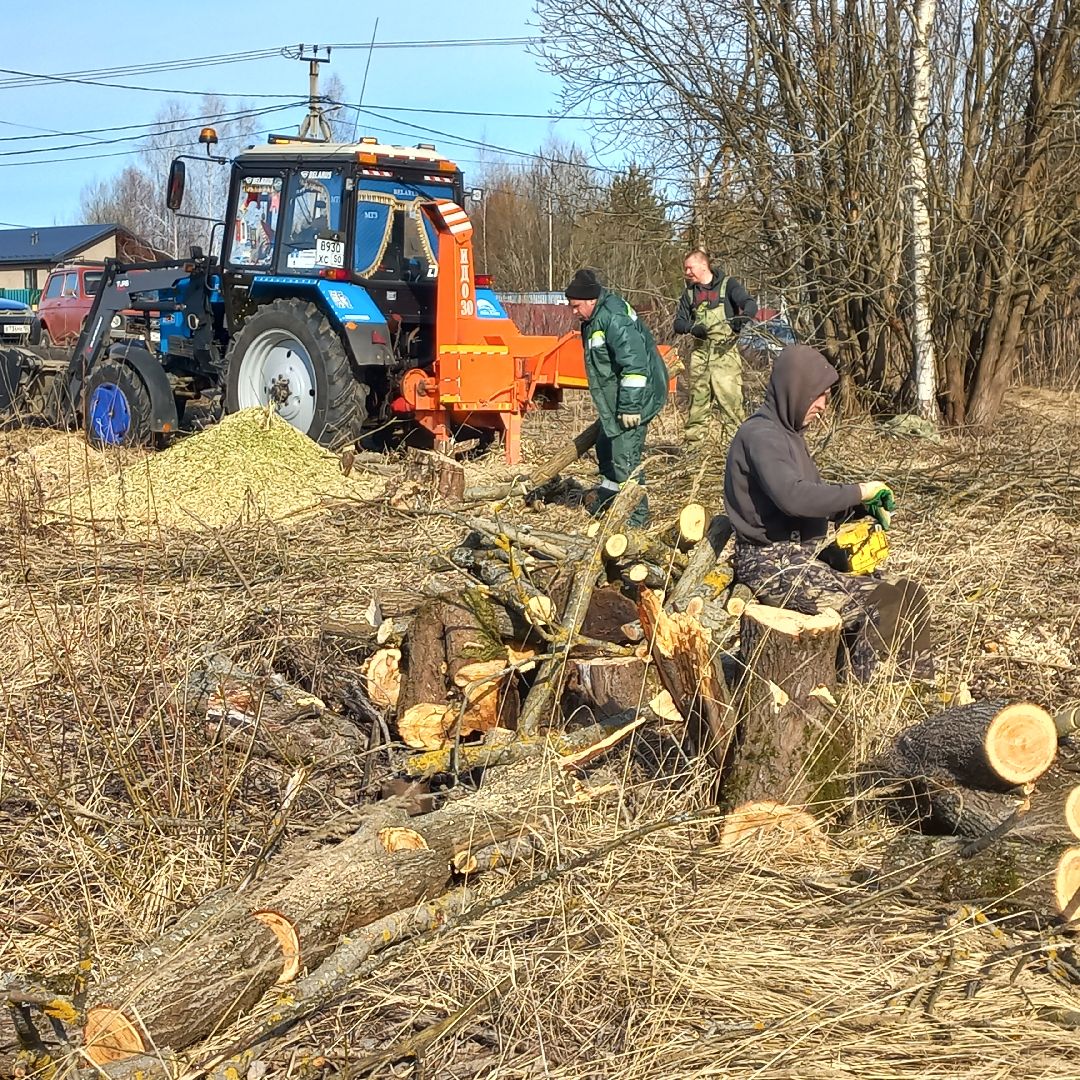 сергиев посад, Чарково, Дороги, вырубка деревьев,
