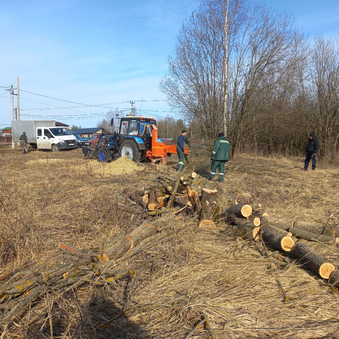сергиев посад, Чарково, Дороги, вырубка деревьев,