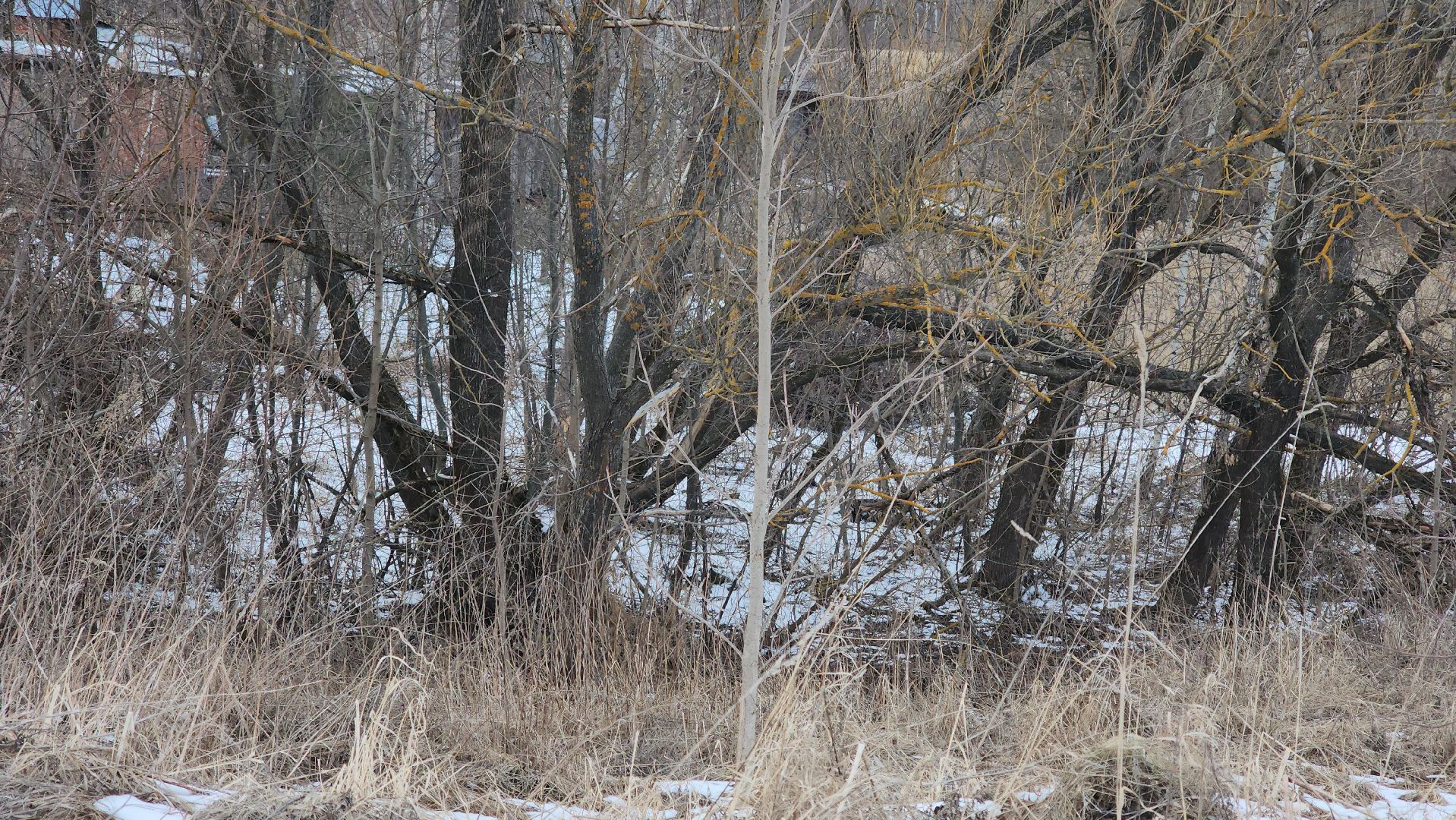 кашира, выездная администрация, малое ильинское, плотина, ремонт, гидросооружение, ледово,