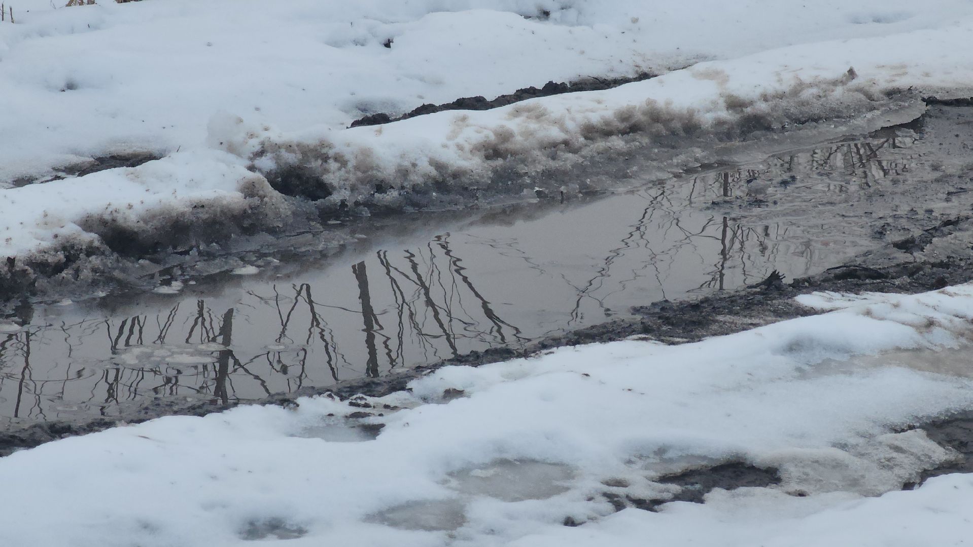 кашира, выездная администрация, малое ильинское, плотина, ремонт, гидросооружение, ледово,