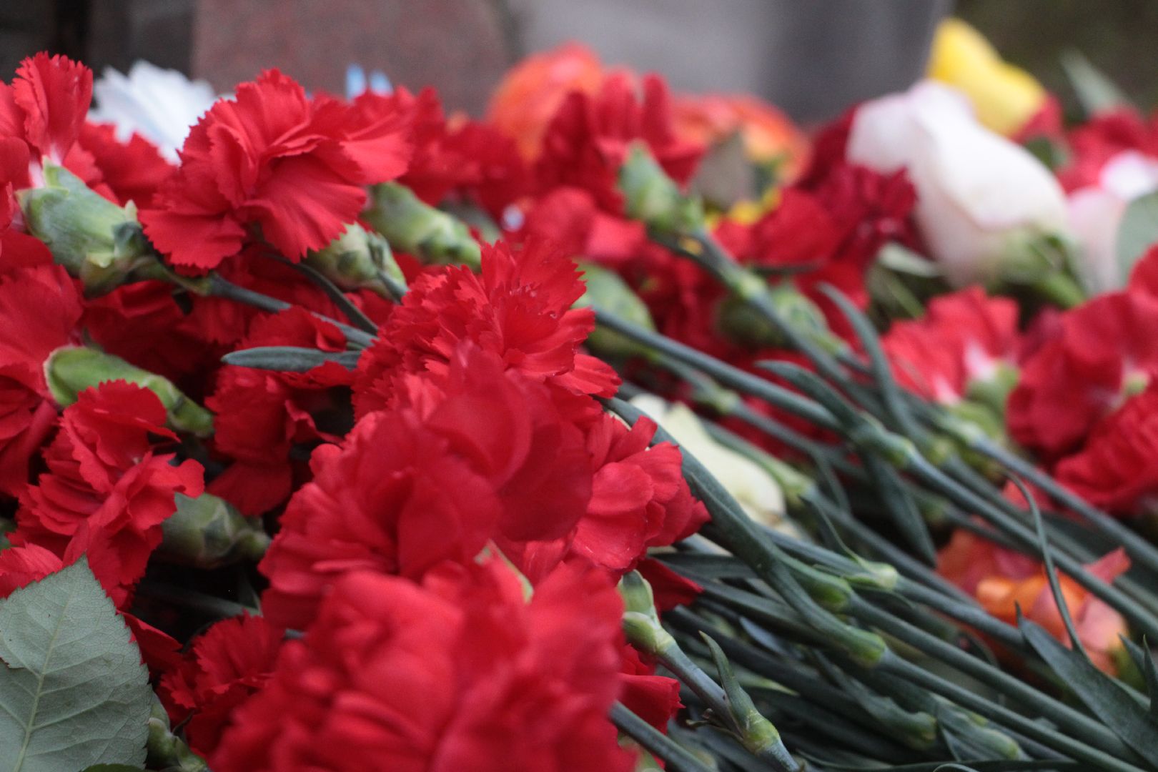 Чернобыльская АЭС, память, ликвидаторы, Протвино, Сломанные крылья, митинг