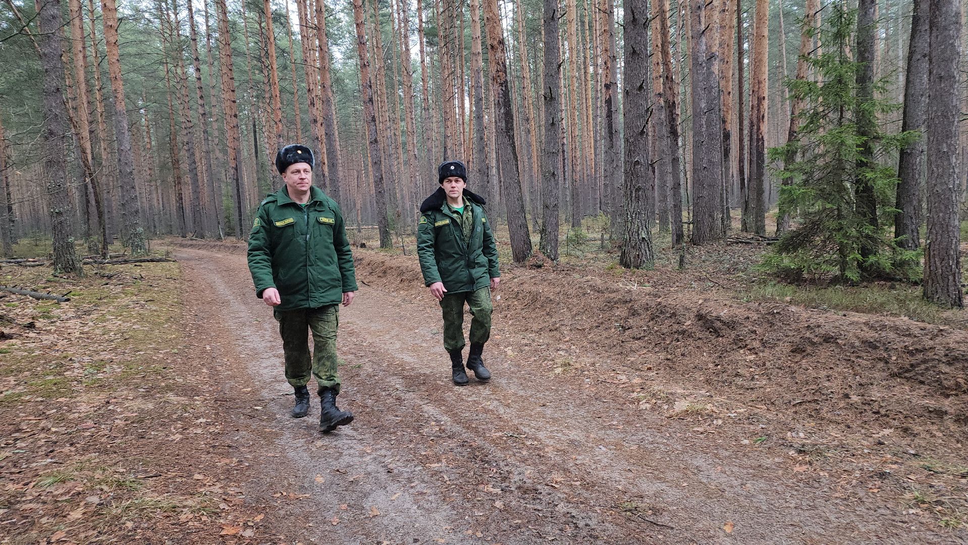лес, лесники, комитет лесного хозяйства,
