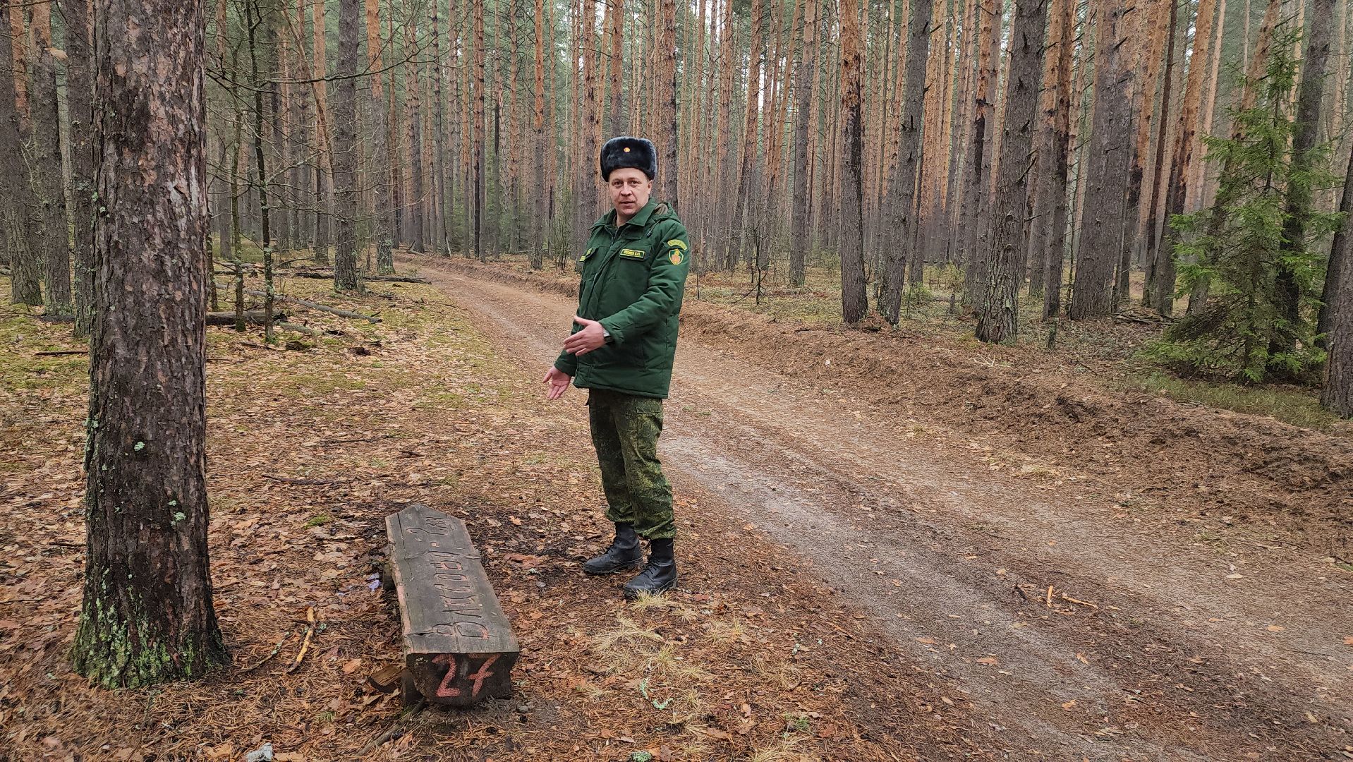 лес, лесники, комитет лесного хозяйства,