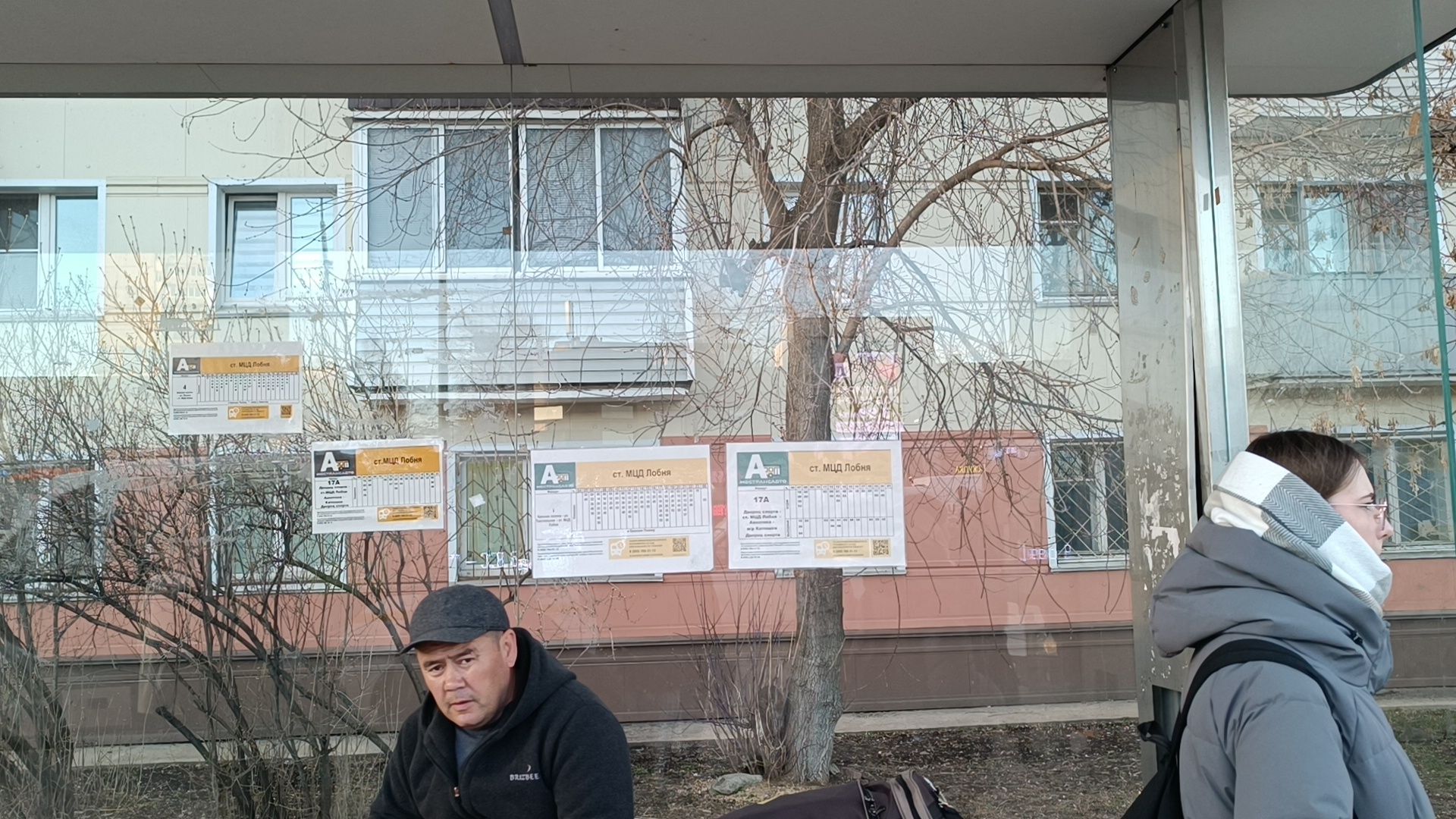 транспорт, лобня, автобус,