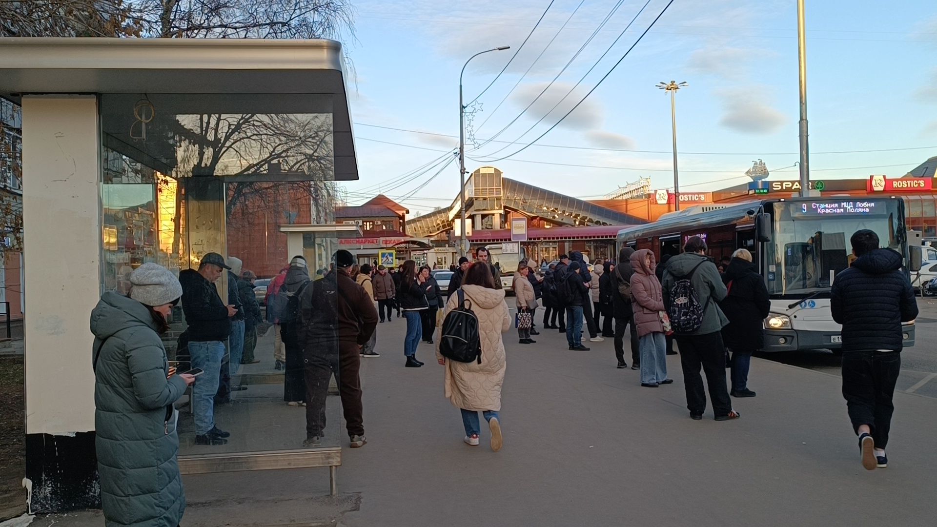 транспорт, лобня, автобус,