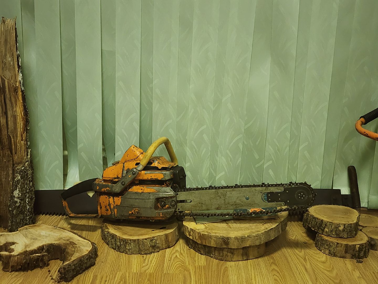 пушкино, дендропарк, школьники,