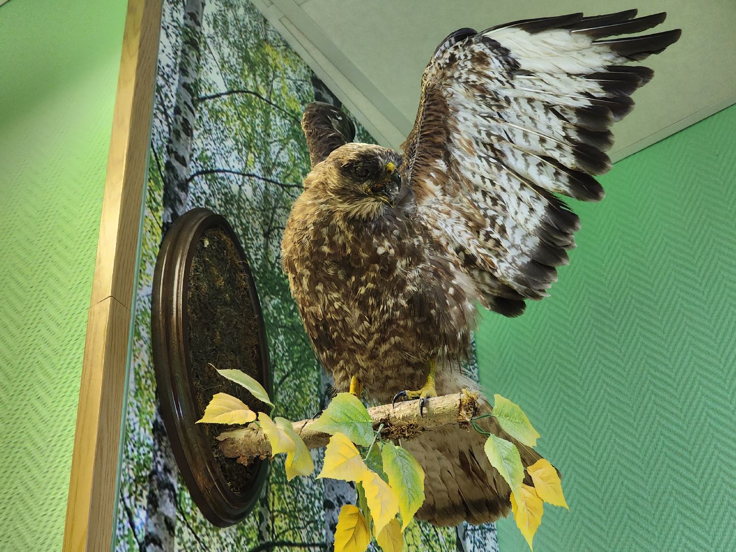 пушкино, дендропарк, школьники,