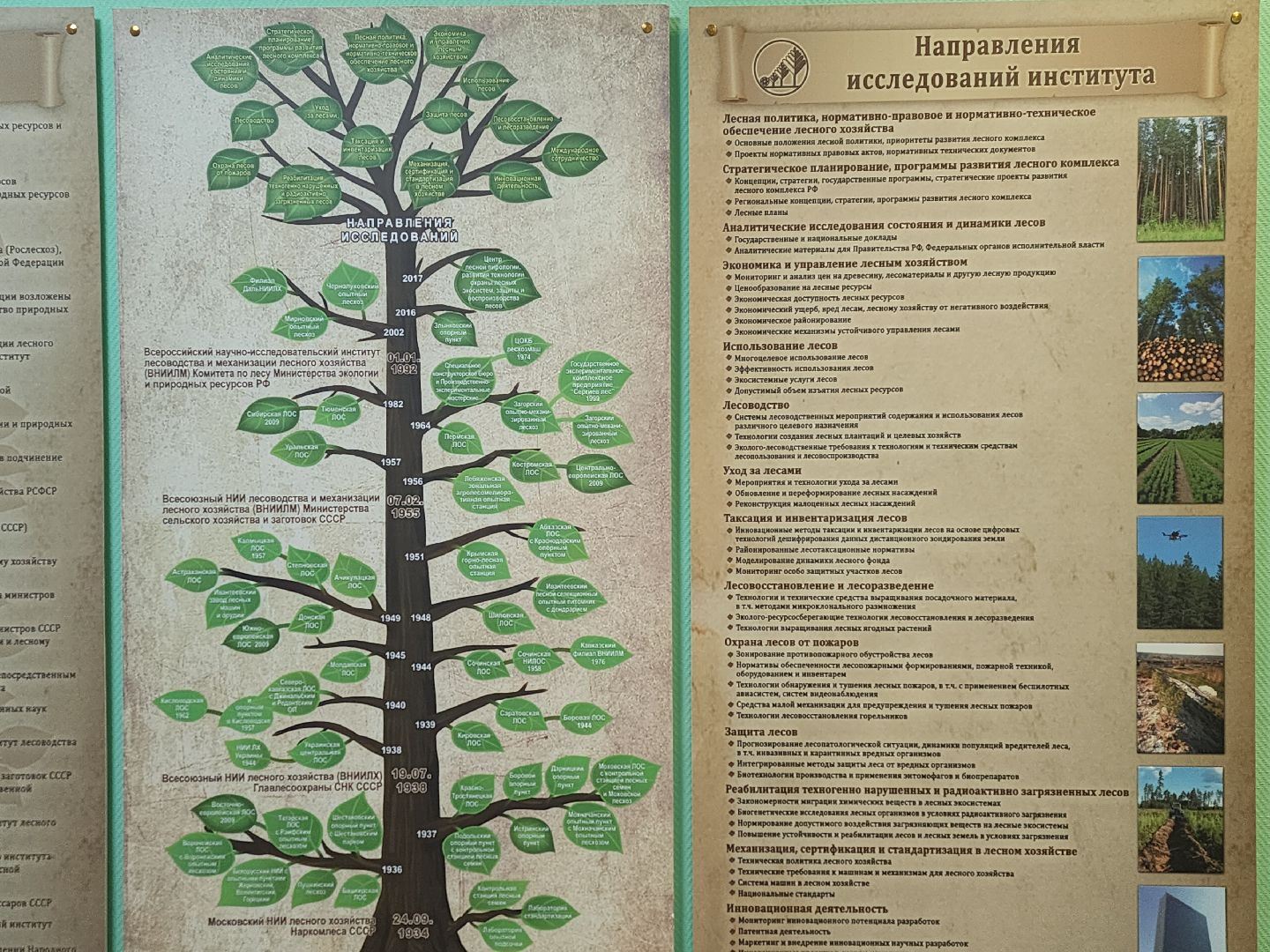 пушкино, дендропарк, школьники,