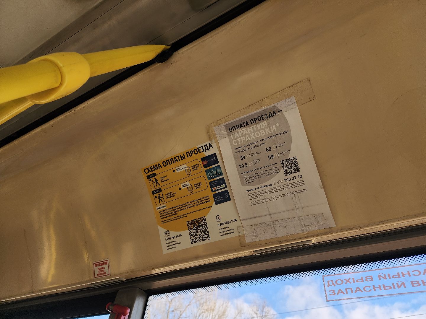 Егорьевск, Подмосковье, Московская область, автобус, транспорт,