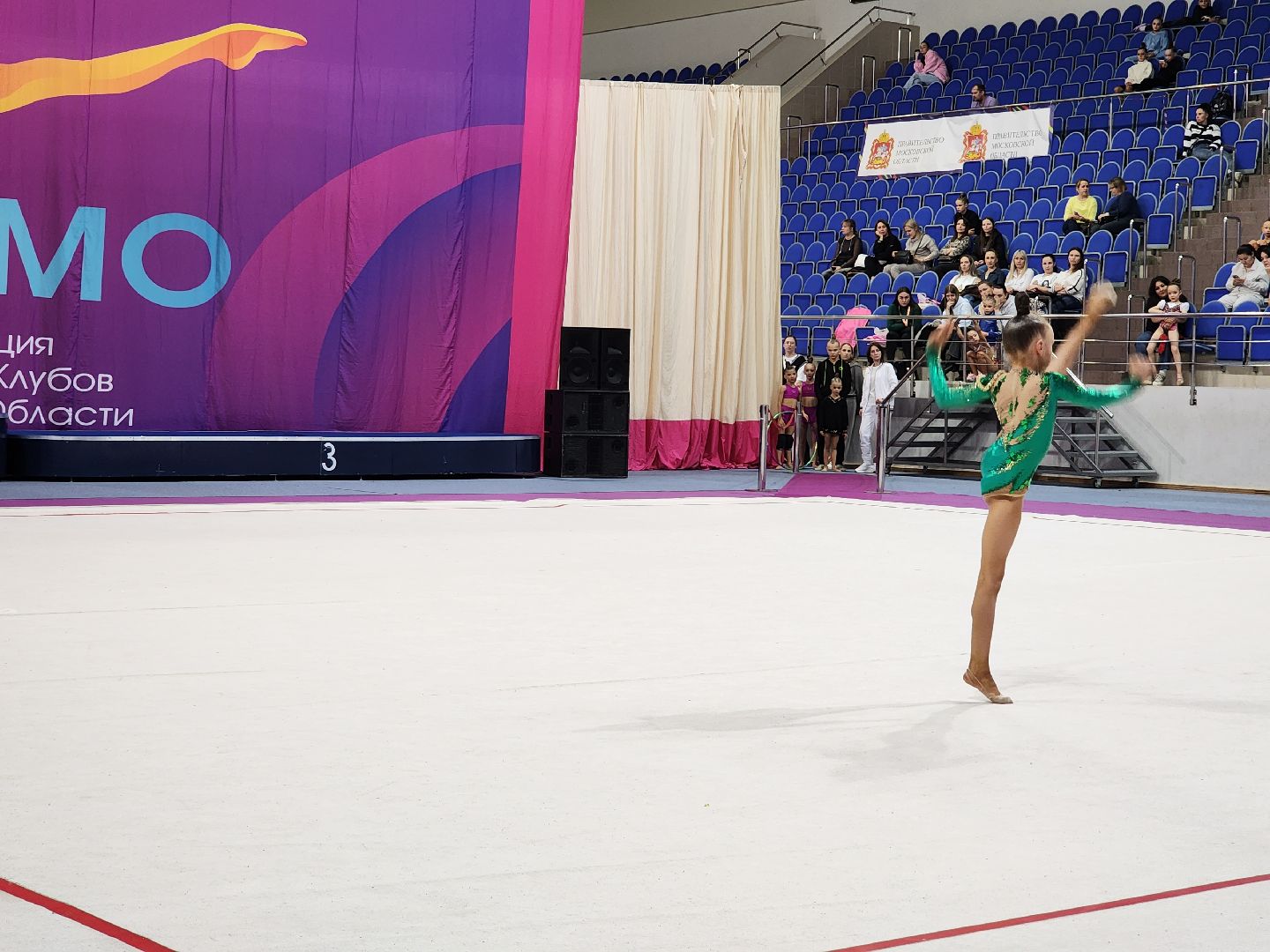 раменское, спорт, соревнования по художественной гимнастике, спорткомплекс борисоглебский,