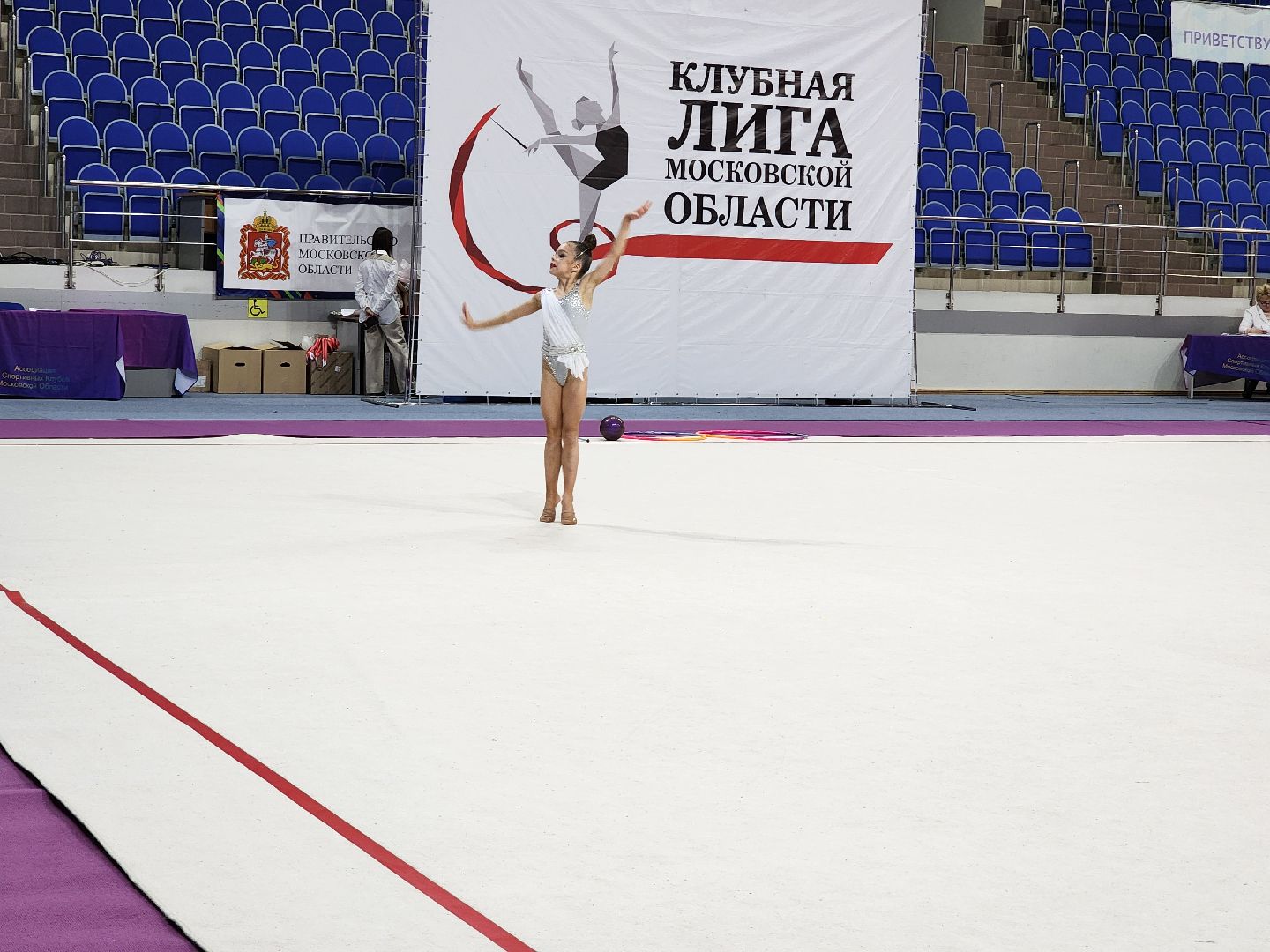 раменское, спорт, соревнования по художественной гимнастике, спорткомплекс борисоглебский,