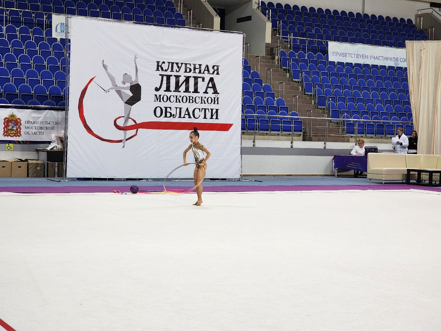 раменское, спорт, соревнования по художественной гимнастике, спорткомплекс борисоглебский,