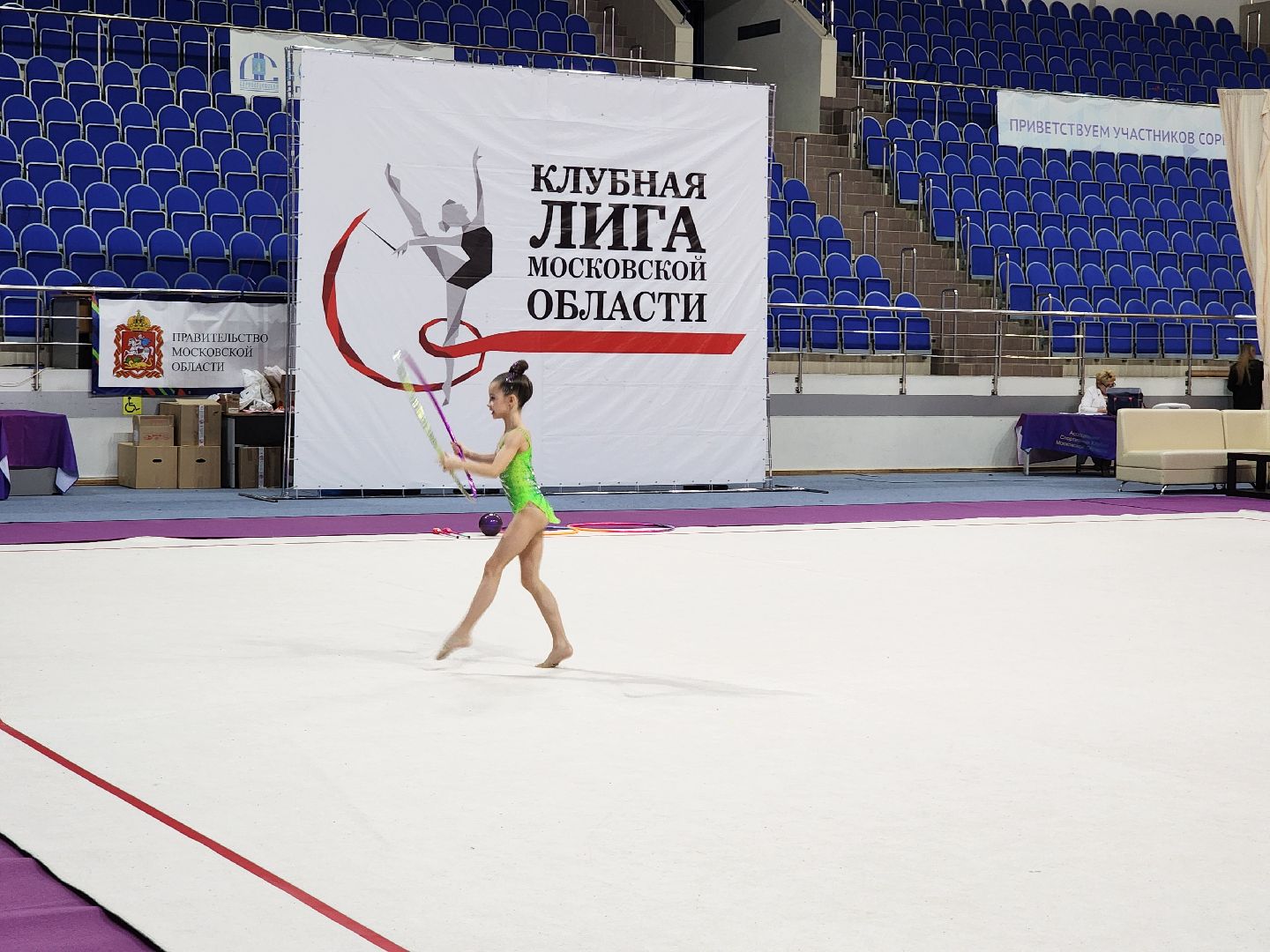 раменское, спорт, соревнования по художественной гимнастике, спорткомплекс борисоглебский,