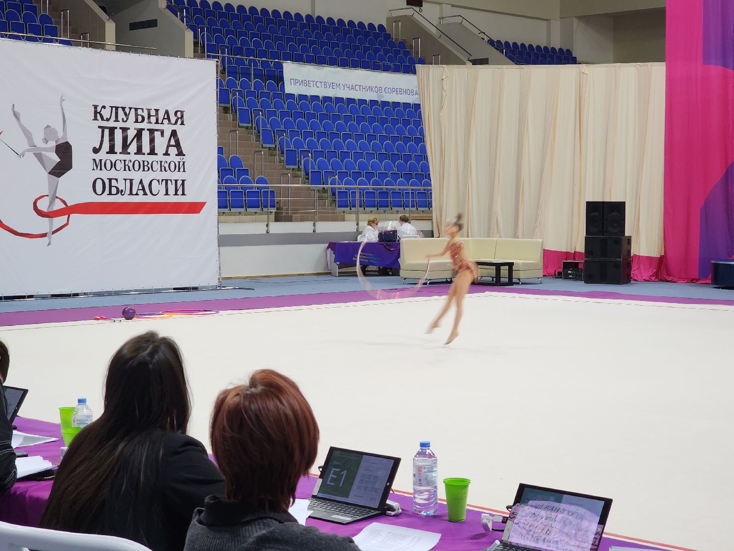 раменское, спорт, соревнования по художественной гимнастике, спорткомплекс борисоглебский,