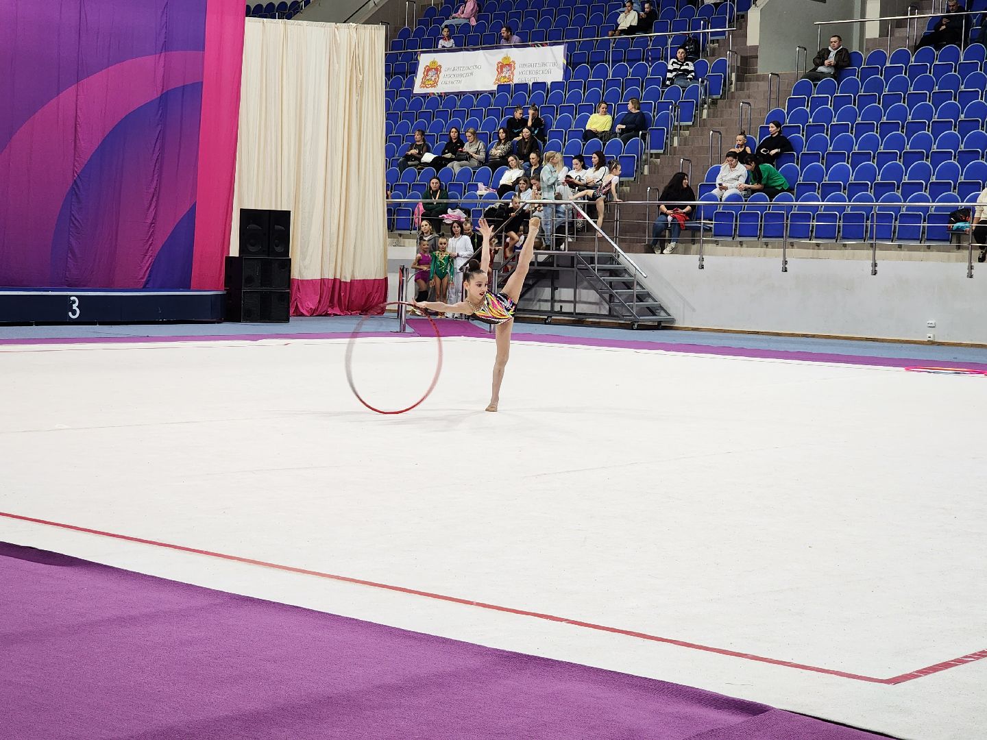 раменское, спорт, соревнования по художественной гимнастике, спорткомплекс борисоглебский,