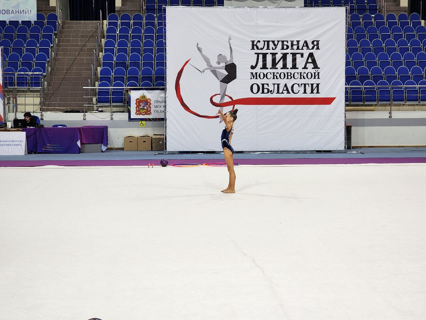раменское, спорт, соревнования по художественной гимнастике, спорткомплекс борисоглебский,