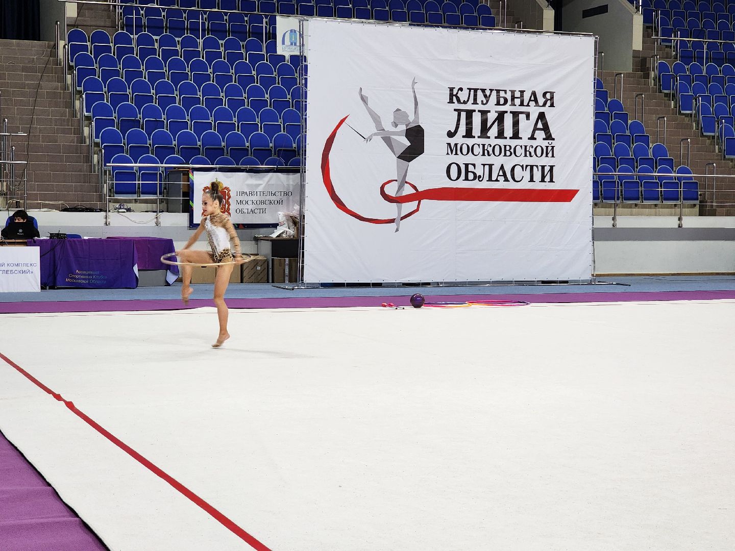 раменское, спорт, соревнования по художественной гимнастике, спорткомплекс борисоглебский,