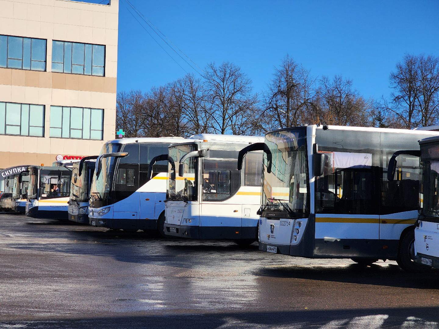 ногинск, транспорт, автобус, проверка, жители, мострансавто,