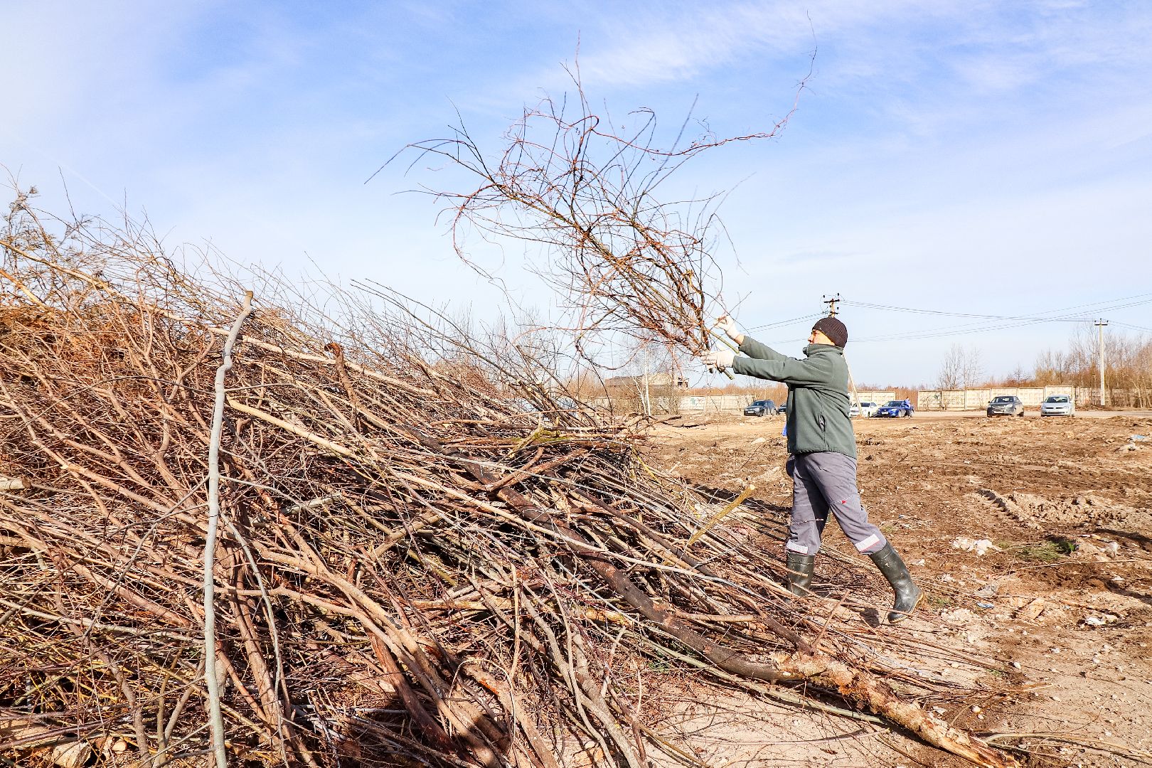 Клин, общество, субботники, благоустройство, опиловка деревьев,