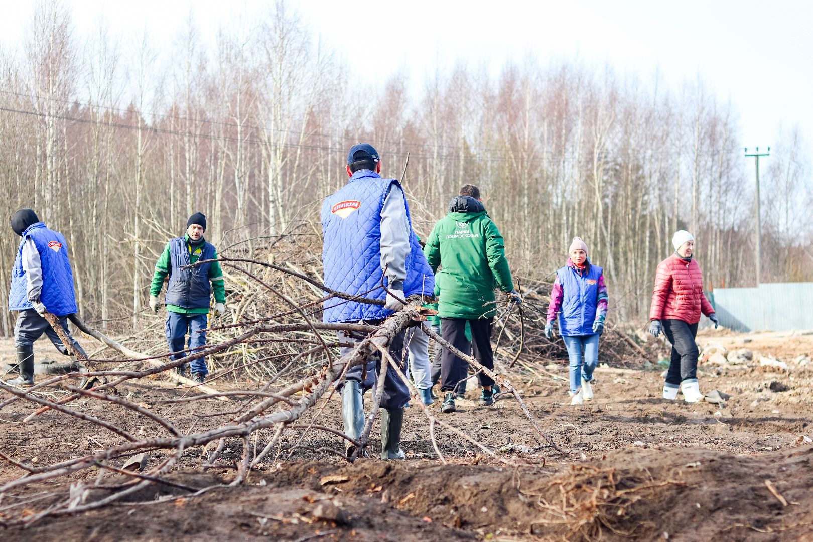 Клин, общество, субботники, благоустройство, опиловка деревьев,